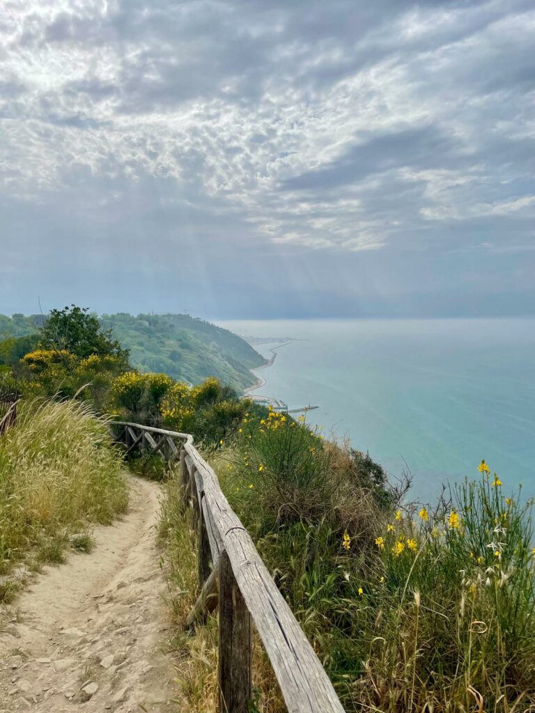 Scopri di più sull'articolo Anello del San Bartolo, semplice e panoramico