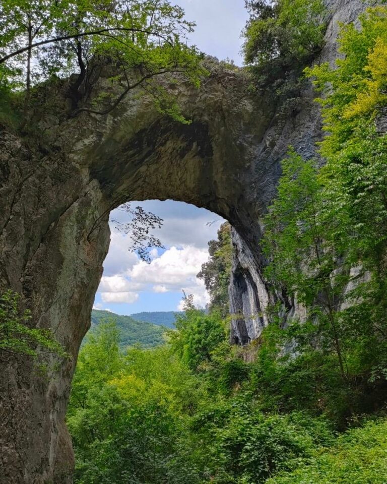 Scopri di più sull'articolo Fondarca “Classic”