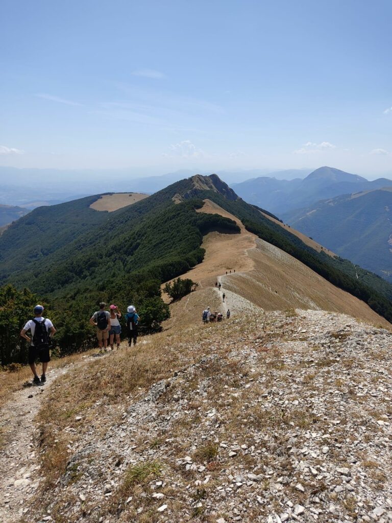 Scopri di più sull'articolo Ferragosto sul Monte Catria: l’anello della Balza degli Spicchi