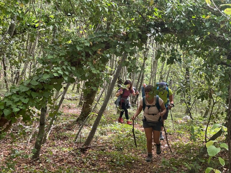 Scopri di più sull'articolo Monte Petrano per il raduno del Parco