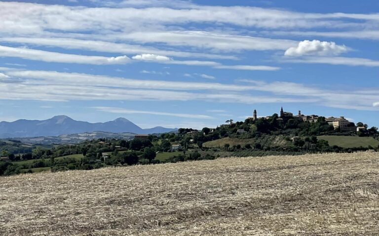 Scopri di più sull'articolo Le dolci colline di Mondavio