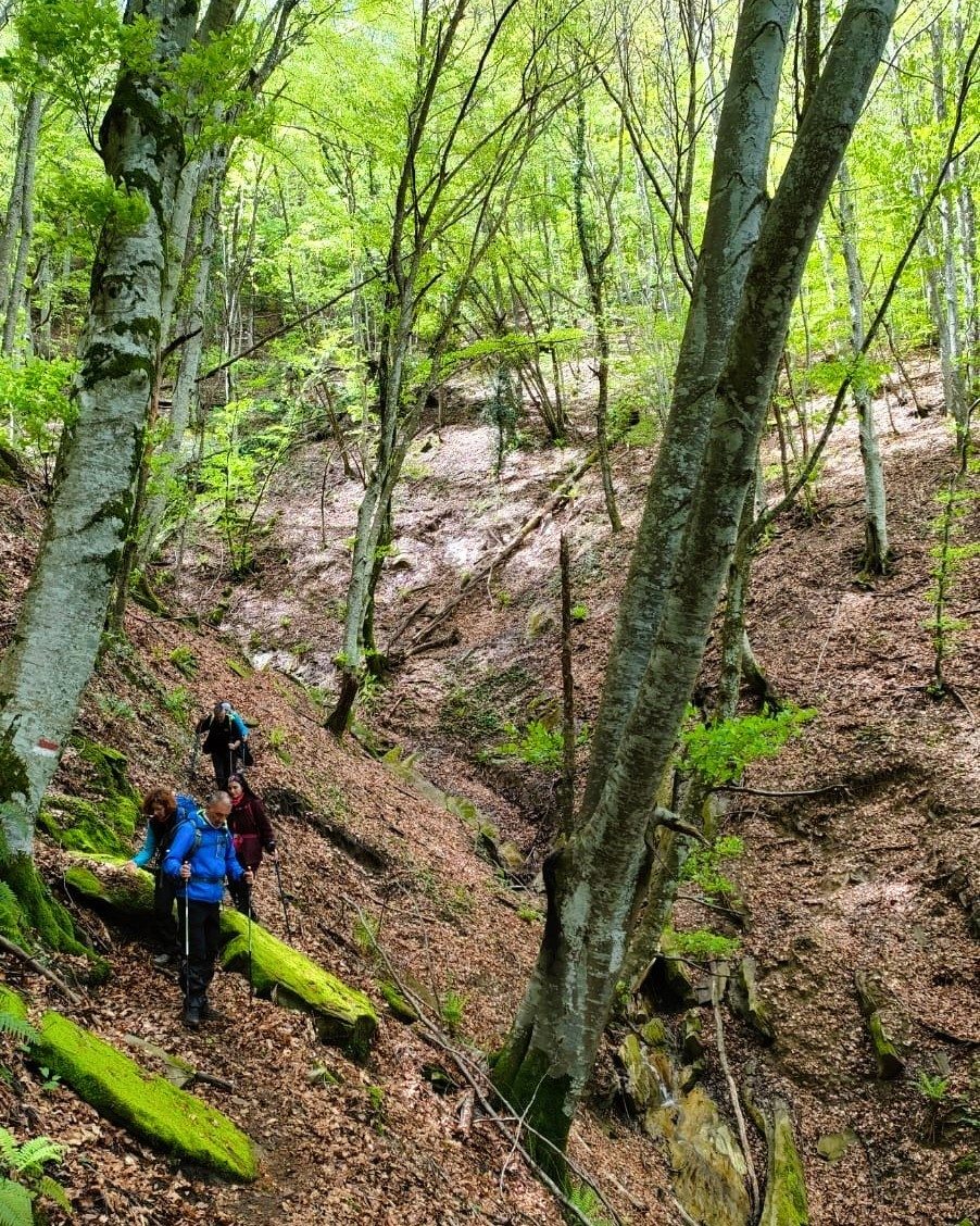 Bosco di Tecchie